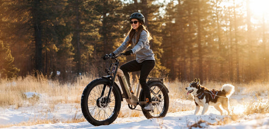 Don’t Let Your Battery Freeze: The Ultimate Guide to Winter E-MTB Battery Care